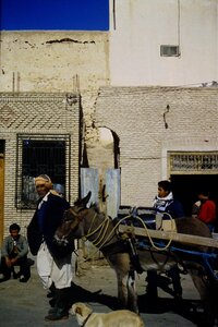 Rando Tunisie 1987, 0066_1987-03-31