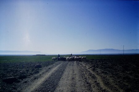 Rando Tunisie 1987, 0042_1987-03-99