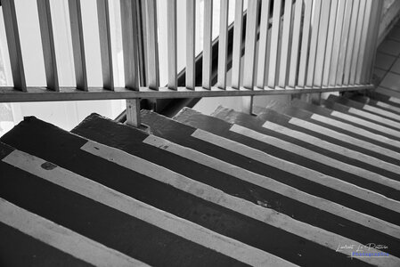 2024-10-05_Escaliers, 24_10_5_llp_Escalier_9_1_wordpress