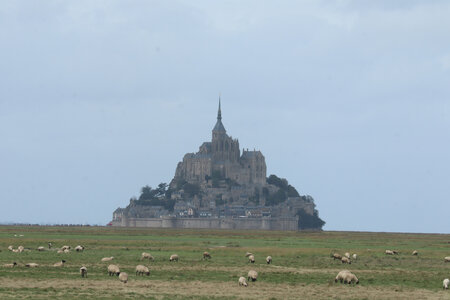 2023 09 19 De Saint-Quentin-sur-le-Homme au Mont-Saint-Michel, IMG_5922 Vue depuis la digue du polder de Saint-Avit