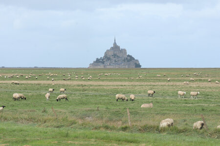 2023 09 19 De Saint-Quentin-sur-le-Homme au Mont-Saint-Michel, IMG_5923_ Vue depuis la digue du polder de Saint-Avit